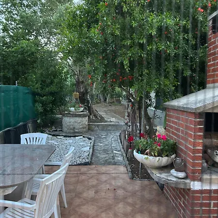 Feriehus Beachfront House